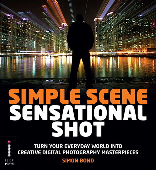 Book cover of Simple Scene Sensational Shot: Artistic Photography in Any Environment