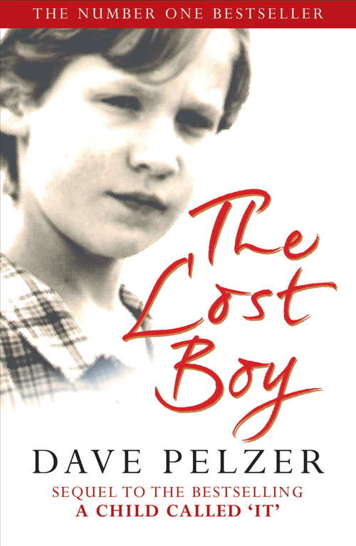 Book cover of The Lost Boy: A Foster Child's Search For The Love Of A Family (Windsor Selection Ser.)