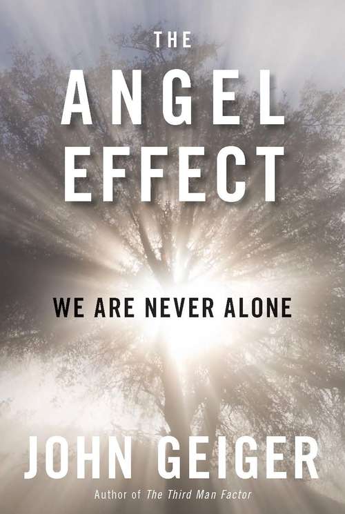 Book cover of The Angel Effect: The Powerful Force That Ensures We Are Never Alone