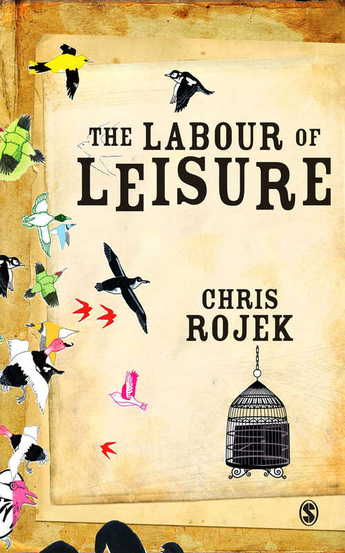 Book cover of The Labour of Leisure: The Culture of Free Time