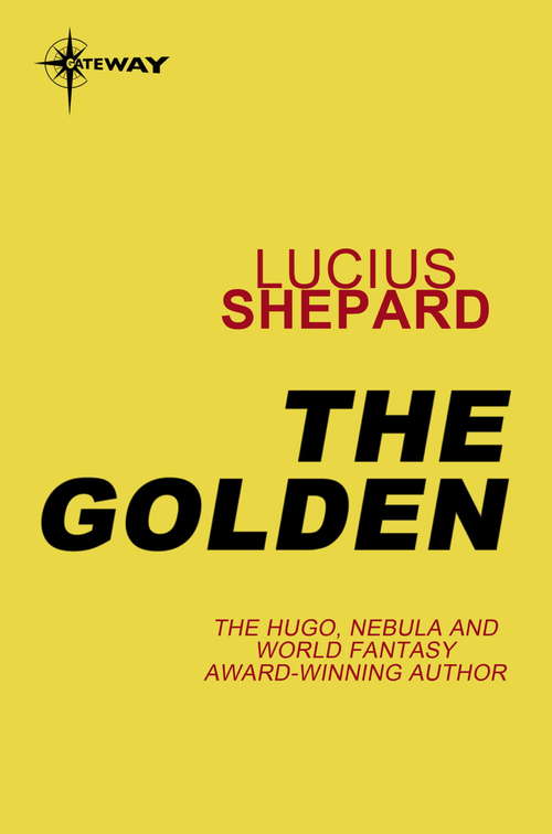 Book cover of The Golden