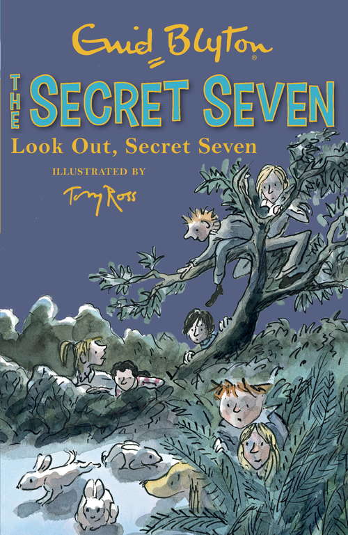 Book cover of Look Out, Secret Seven: Book 14 (Secret Seven: No. 14)