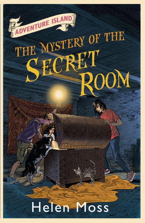 Book cover of The Mystery of the Secret Room: Book 13 (Adventure Island #13)