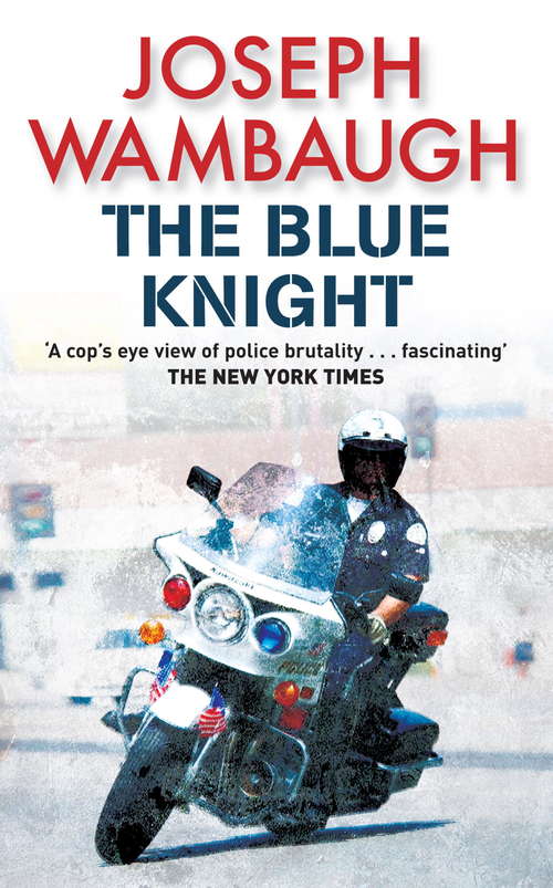 Book cover of The Blue Knight