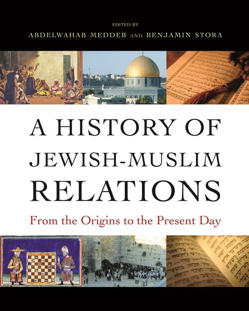 Book cover of A History of Jewish-Muslim Relations: From the Origins to the Present Day (PDF)