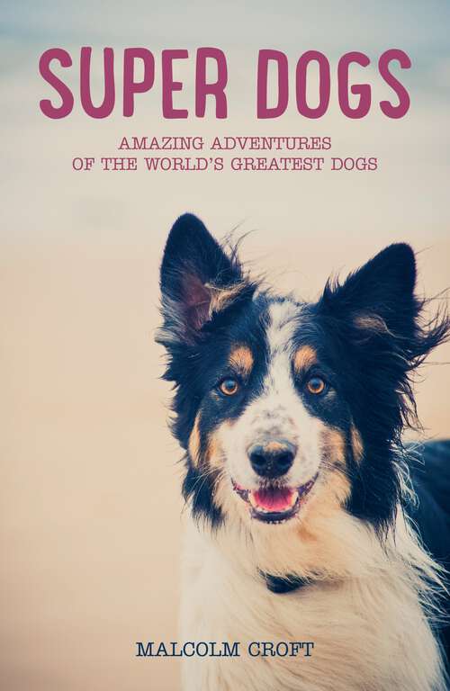 Book cover of Super Dogs: Heart-Warming Stories of the World's Greatest Dogs