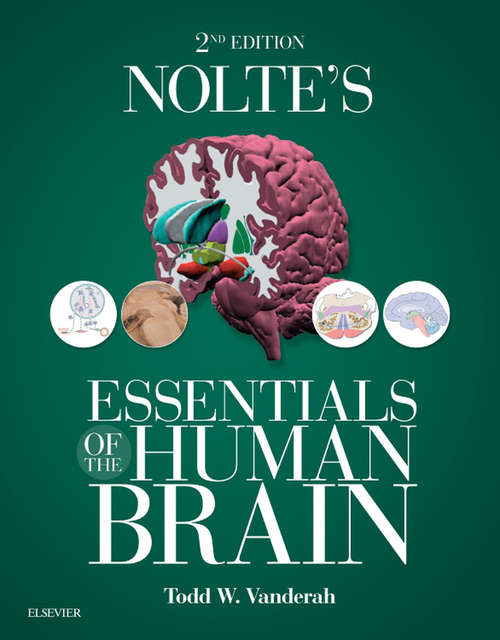 Book cover of Nolte's Essentials of the Human Brain E-Book