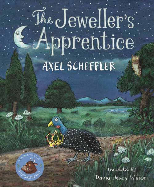 Book cover of The Jeweller's Apprentice