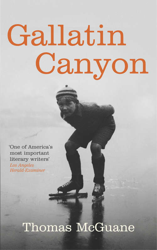 Book cover of Gallatin Canyon (Vintage Contemporaries Ser.)