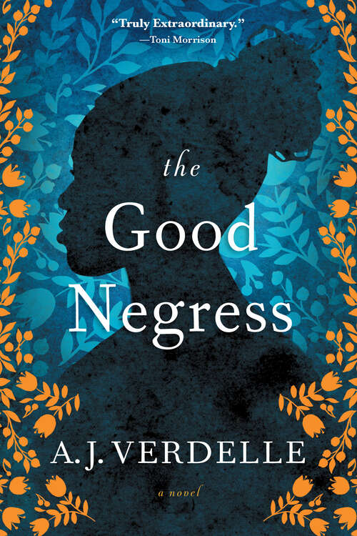 Book cover of The Good Negress: A Novel