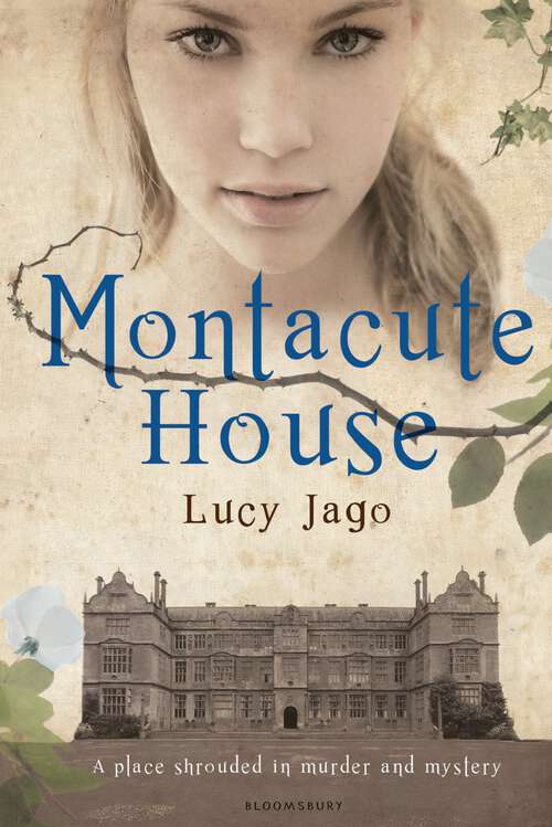 Book cover of Montacute House: Epub E-book Edition