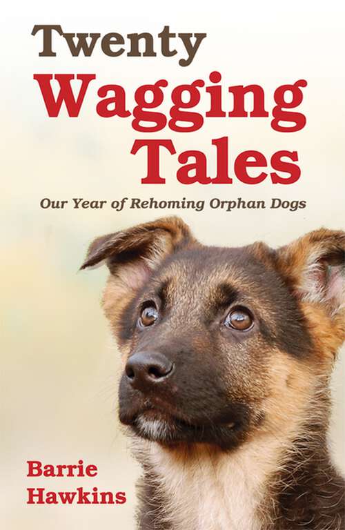 Book cover of Twenty Wagging Tales: Our Year of Rehoming Orphaned Dogs
