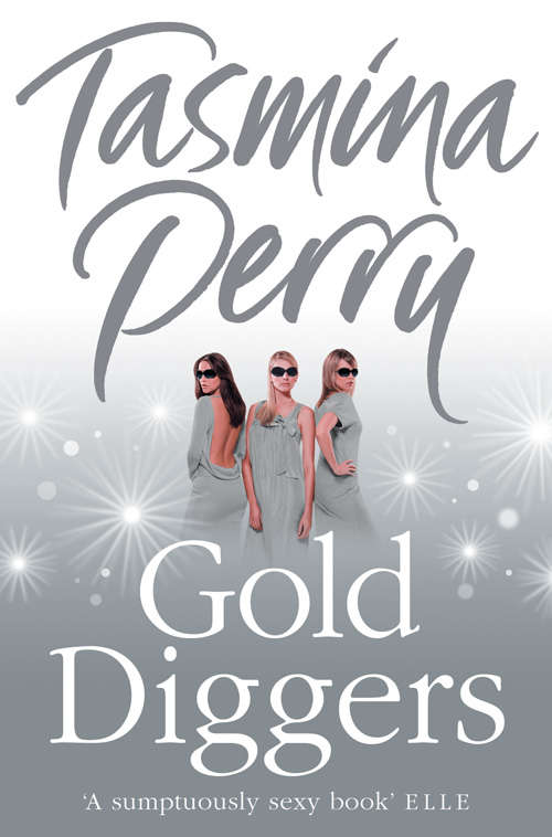 Book cover of Gold Diggers: A Novel (ePub edition)