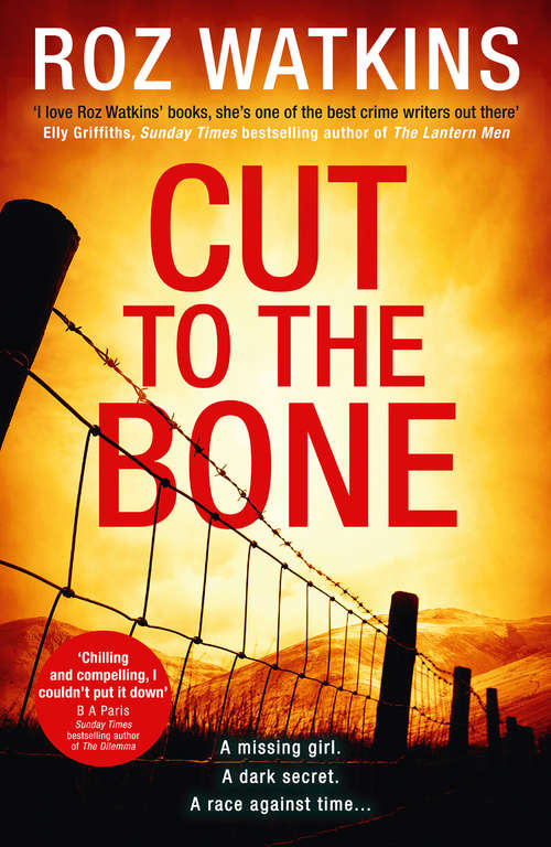 Book cover of Cut to the Bone (ePub edition) (A DI Meg Dalton thriller #3)