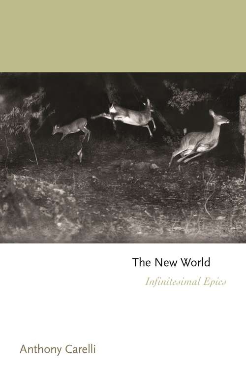 Book cover of The New World: Infinitesimal Epics (Princeton Series of Contemporary Poets #163)