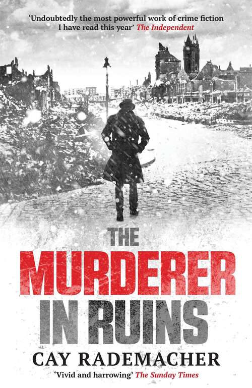 Book cover of The Murderer in Ruins (Frank Stave Investigations #1)