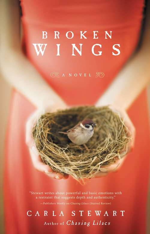 Book cover of Broken Wings: A Novel