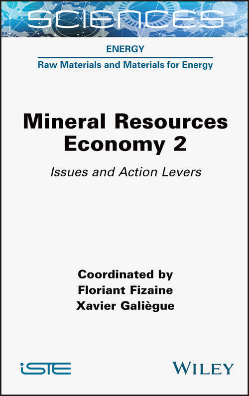 Book cover of Mineral Resource Economy 2: Issues and Action Levers