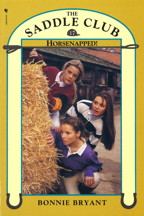 Book cover of Saddle Club Book 17: Horsenapped!