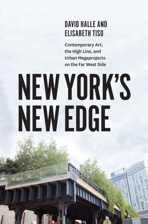 Book cover of New York's New Edge: Contemporary Art, the High Line, and Urban Megaprojects on the Far West Side