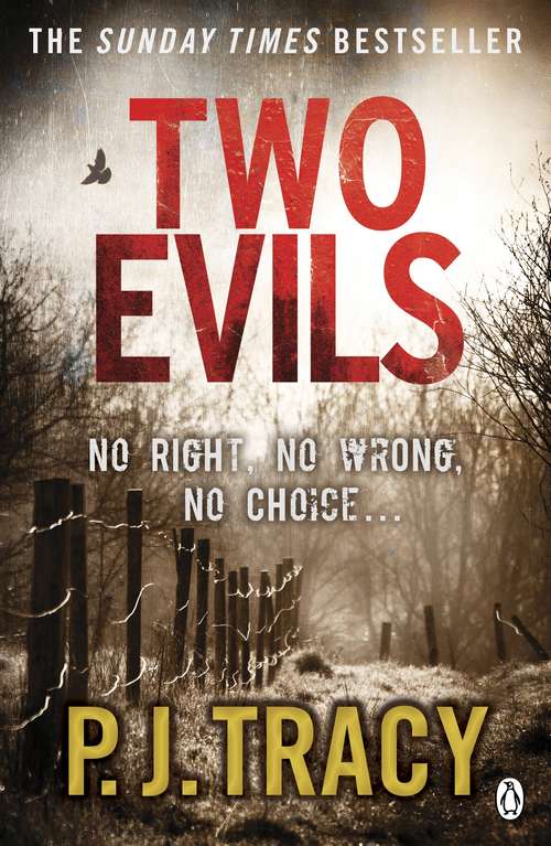 Book cover of Two Evils: Twin Cities Book 6 (Twin Cities Thriller #6)