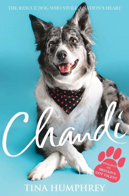 Book cover of Chandi: The Rescue Dog Who Stole a Nation's Heart