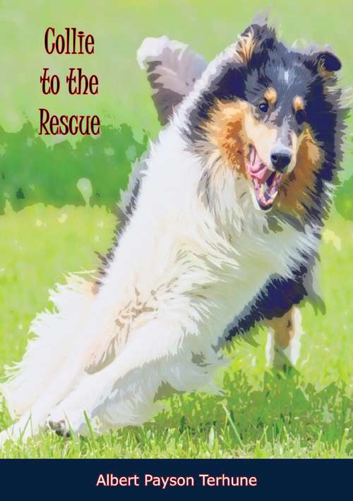 Book cover of Collie to the Rescue