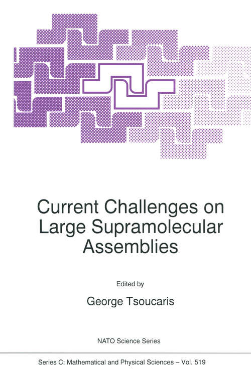 Book cover of Current Challenges on Large Supramolecular Assemblies (1999) (Nato Science Series C: #519)