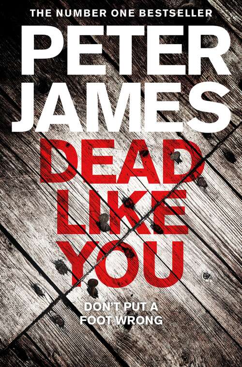 Book cover of Dead Like You: A Chilling British Detective Crime Thriller (Roy Grace #6)