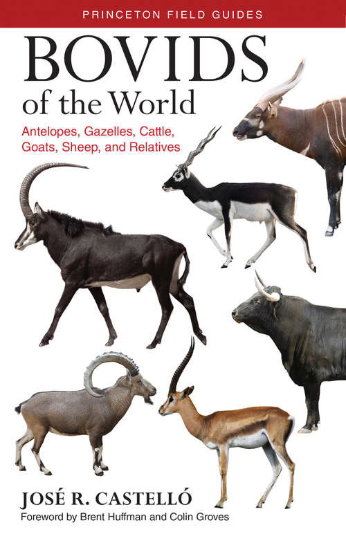 Book cover of Bovids of the World: Antelopes, Gazelles, Cattle, Goats, Sheep, and Relatives (PDF)