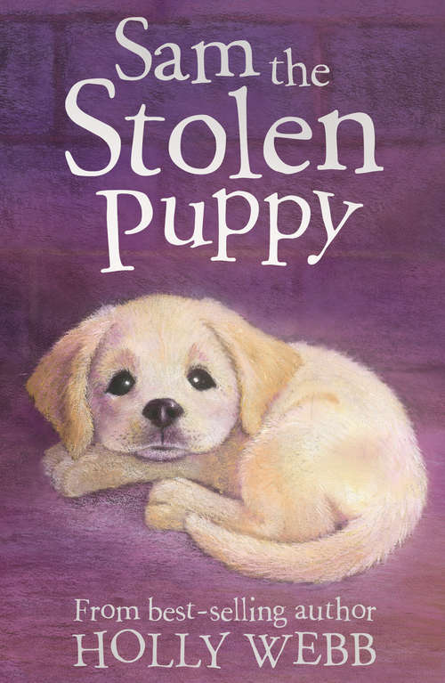 Book cover of Sam the Stolen Puppy: Alfie All Alone, Sam The Stolen Puppy, Max The Missing Puppy (Holly Webb Animal Stories #4)