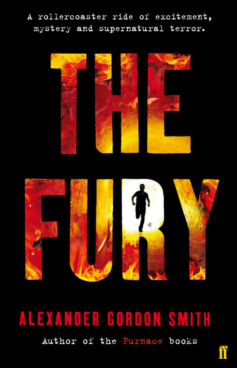 Book cover of The Fury: The Director's Cut (Main)