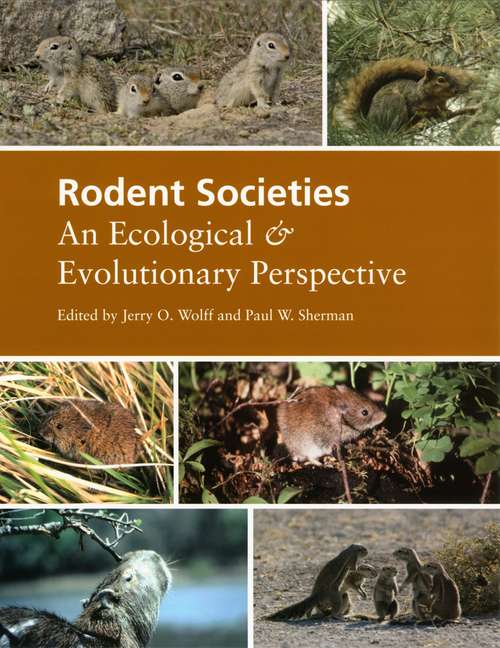 Book cover of Rodent Societies: An Ecological and Evolutionary Perspective