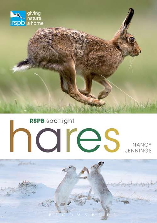 Book cover of RSPB Spotlight Hares