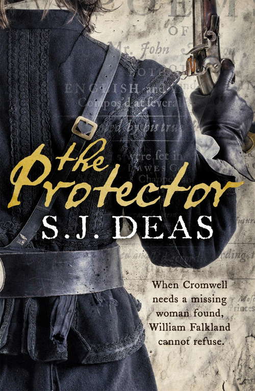 Book cover of The Protector