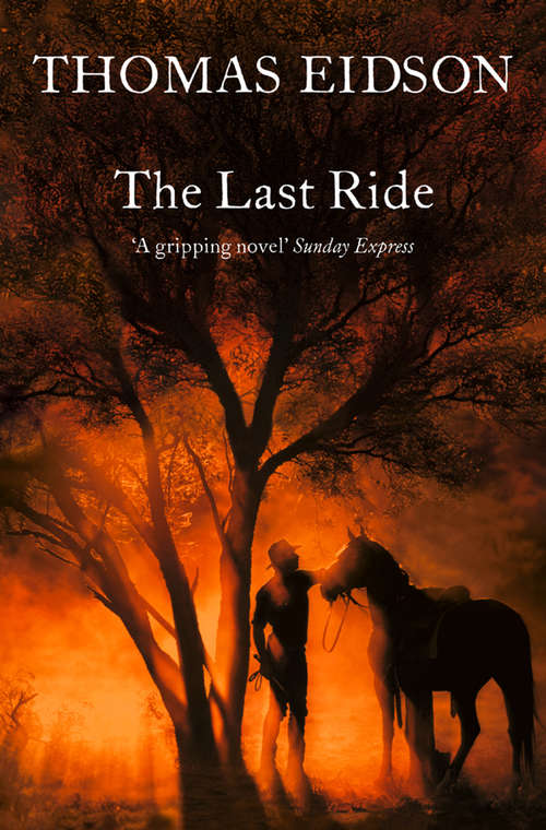 Book cover of The Last Ride (ePub edition) (Ulverscroft Large Print Ser.)