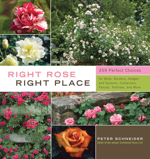 Book cover of Right Rose, Right Place