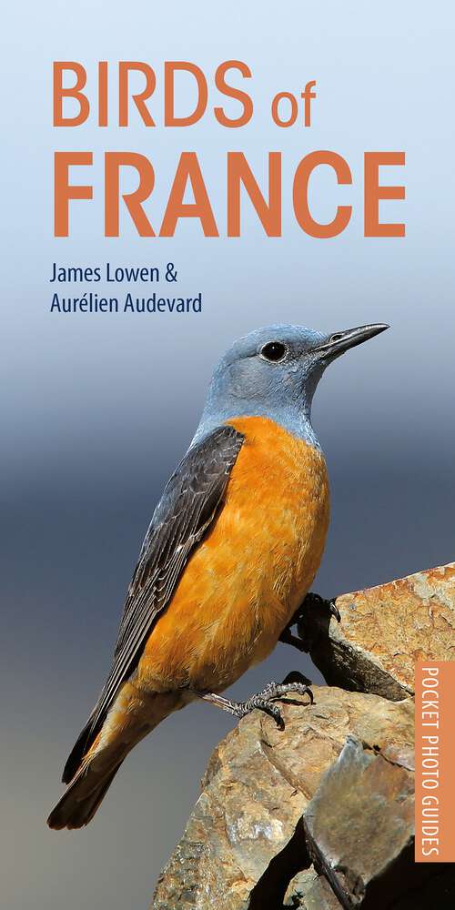 Book cover of Birds of France (Pocket Photo Guides)