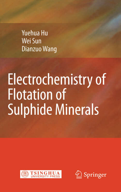 Book cover of Electrochemistry of Flotation of Sulphide Minerals (2009)