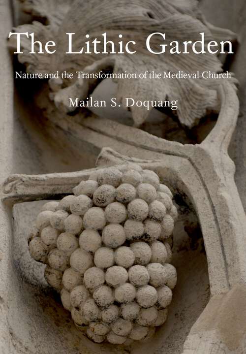 Book cover of The Lithic Garden: Nature and the Transformation of the Medieval Church