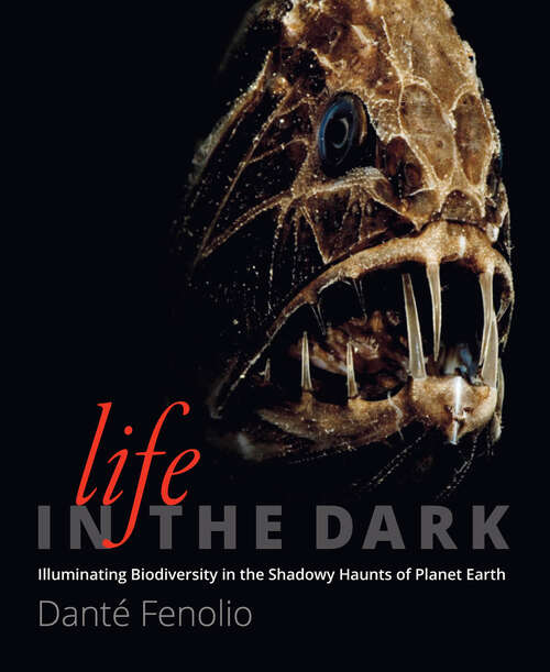 Book cover of Life in the Dark: Illuminating Biodiversity in the Shadowy Haunts of Planet Earth