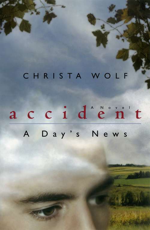 Book cover of Accident: A Day's News: A Novel (Phoenix Fiction)