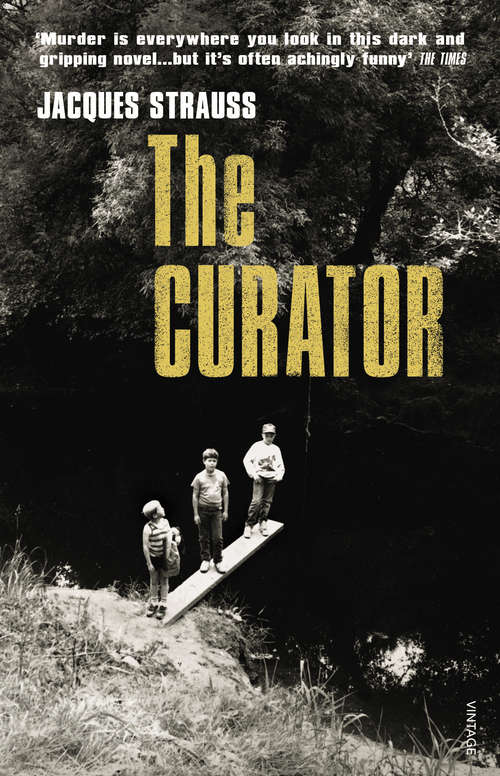 Book cover of The Curator