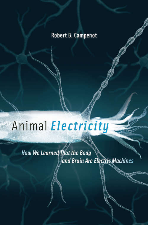 Book cover of Animal Electricity: How We Learned That the Body and Brain Are Electric Machines