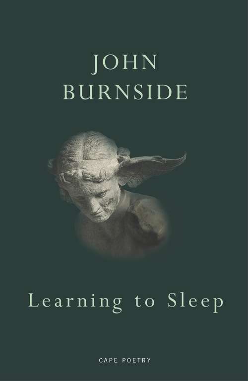 Book cover of Learning to Sleep