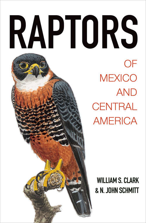 Book cover of Raptors of Mexico and Central America