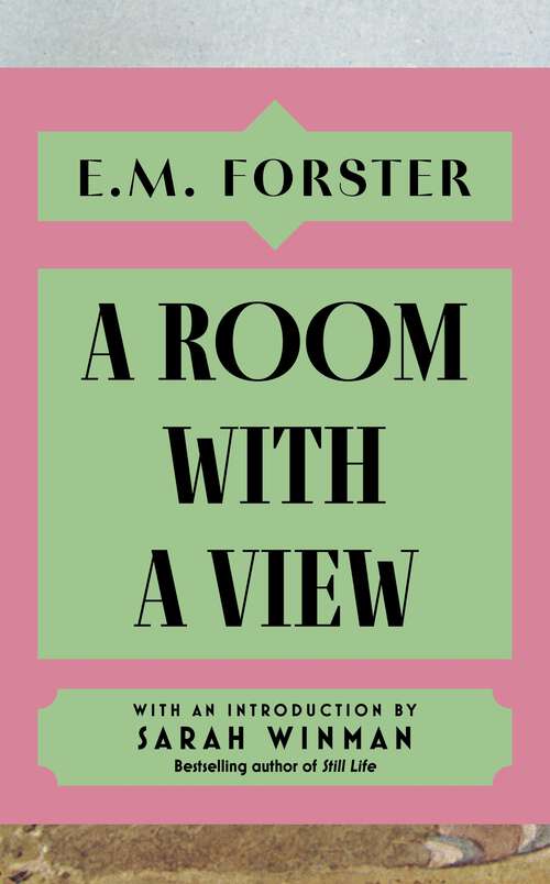 Book cover of A Room With a View: Webster's Italian Thesaurus Edition