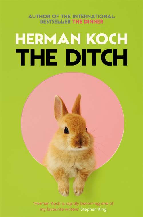Book cover of The Ditch: A Novel