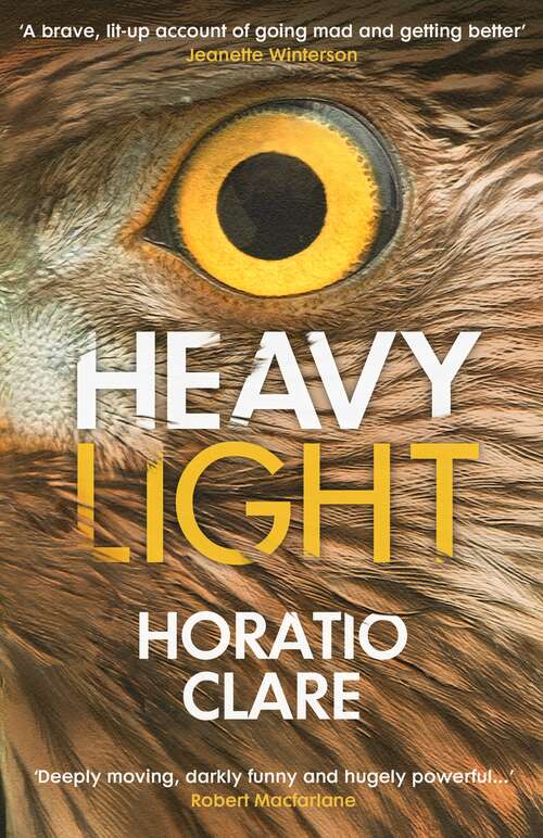 Book cover of Heavy Light: A Journey Through Madness, Mania and Healing