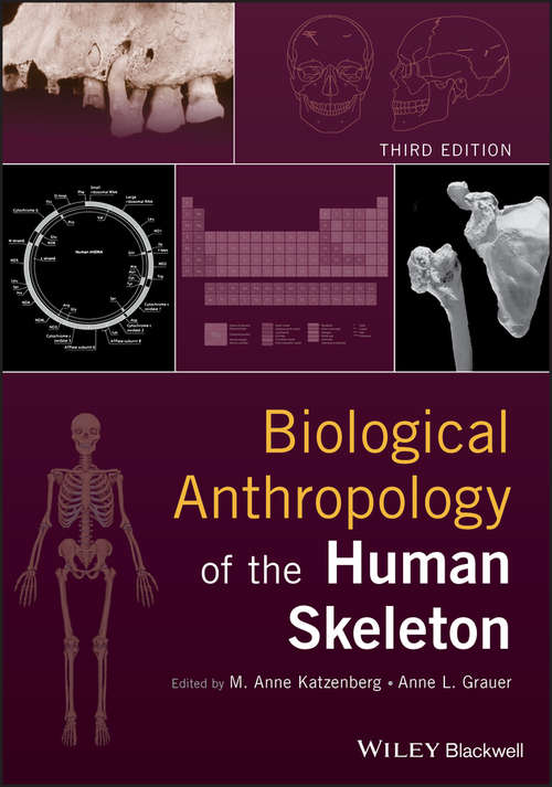 Book cover of Biological Anthropology of the Human Skeleton (3)